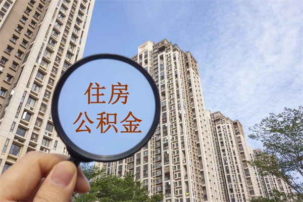 枣庄离职多久可以取住房公积金(离职多久后能取公积金) 枣庄离职多久可以取住房公积金(离职多久后能取公积金)